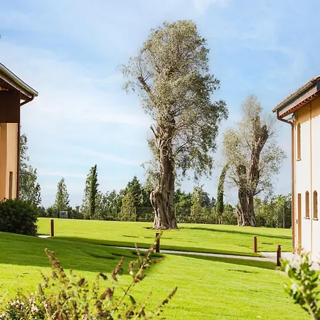 Santa Maria Maddalena By Palazzo Di Varignana